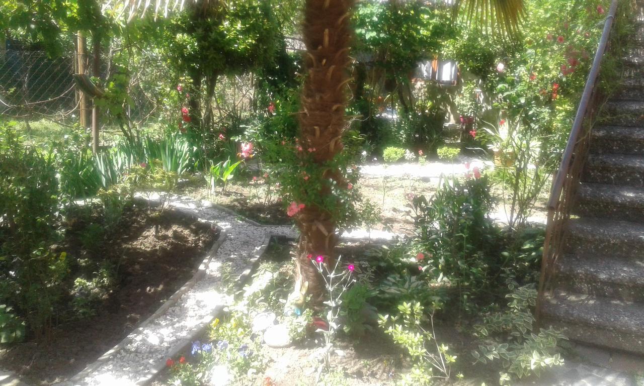 Centr Apartment Kutaisi Bagian luar foto